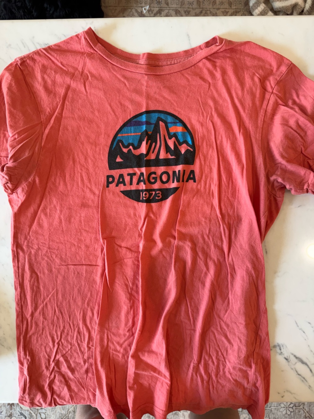 Patagonia Tee
